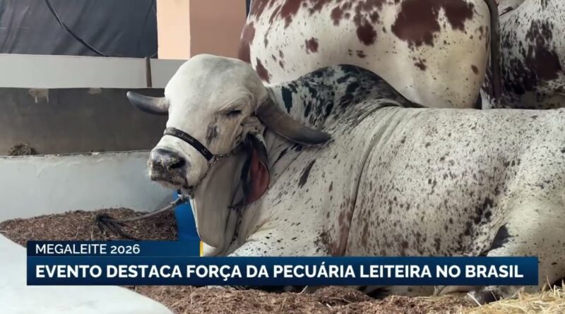 21ª Mega Leite em Belo Horizonte discute genética e PIB agropecuário