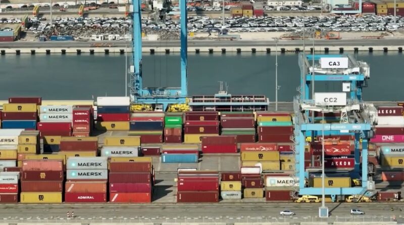 América Latina responde por quase 30% da produção mundial de frango