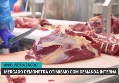 Análise do Datagro aponta otimismo no mercado pecuário brasileiro