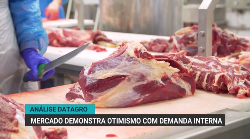 Análise do Datagro aponta otimismo no mercado pecuário brasileiro
