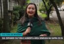 Área de canola no Rio Grande do Sul deve dobrar devido à crise do trigo