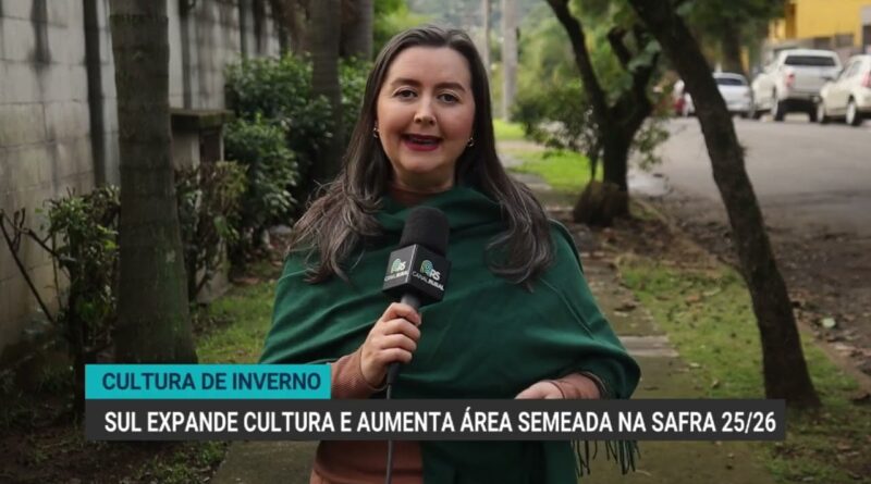 Área de canola no Rio Grande do Sul deve dobrar devido à crise do trigo