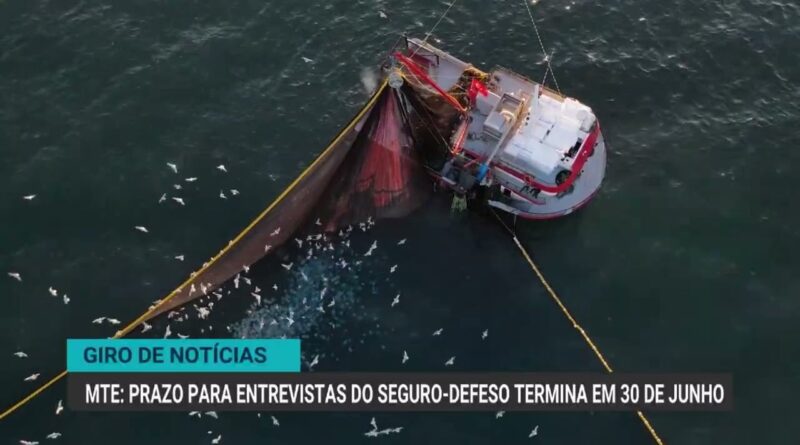 Atualização cadastral de rebanhos no Paraná atinge 67% das propriedades