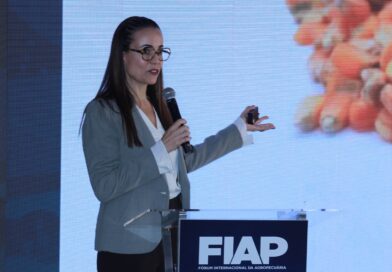 Andrea Veríssimo, diretora da Unem, participa do Fiap 2026