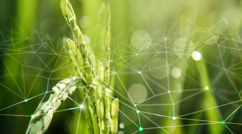 Brasil concentra 78% das agtechs da América Latina, aponta levantamento inédito da Embrapa