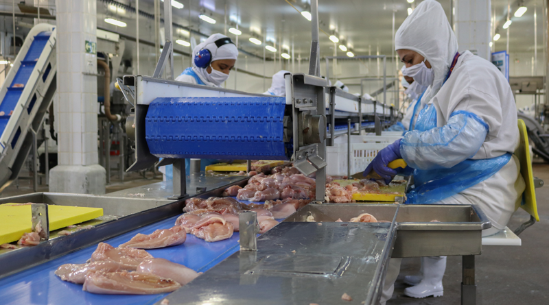 carne de frango, seara, frigorífico, aves, projeto autocontrole