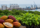 Brasil e Trinidad e Tobago ampliam agenda agropecuária no Caribe