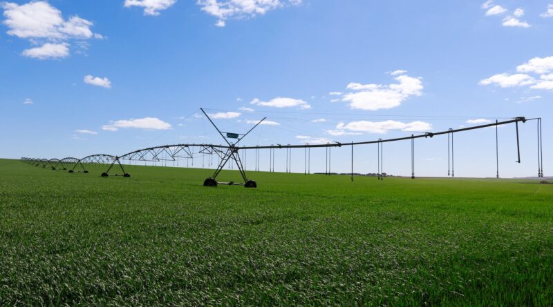 área, irrigada, irrigação, pivô, água