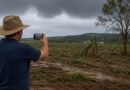 CMN passa a exigir fotos com localização comprovada em seguro rural
