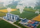 BRICS avança em declaração conjunta sobre cooperação agroalimentar