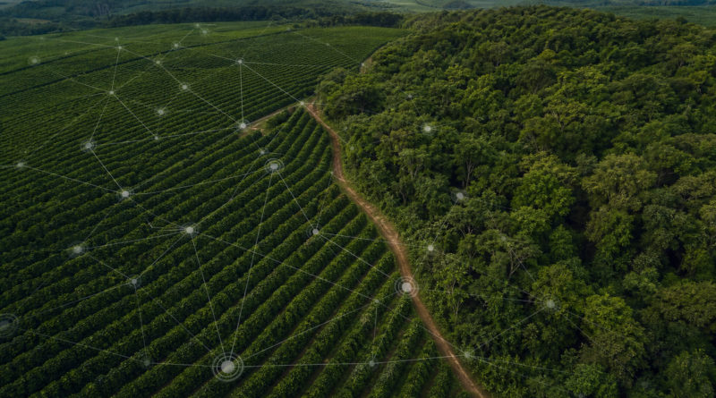 Cecafé apresenta sustentabilidade da cafeicultura brasileira em evento da Comissão Europeia