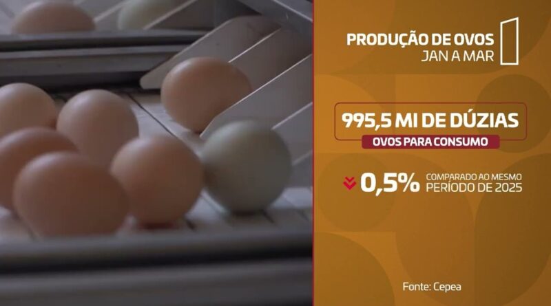 Cepea aponta mudanças nos custos e preços das proteínas animais em 2026