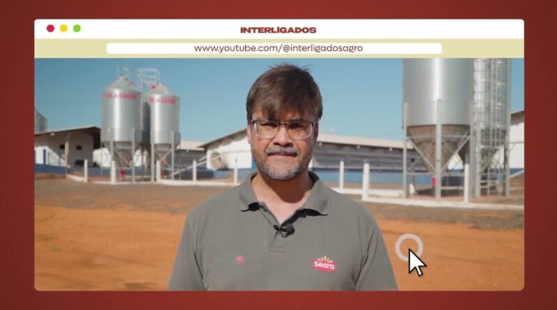 Cinco regras essenciais de biosseguridade para granjas de suínos