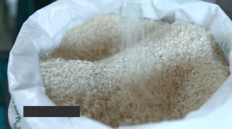 Colheita de café brasileiro deve atingir 66,7 milhões de sacas em 2026