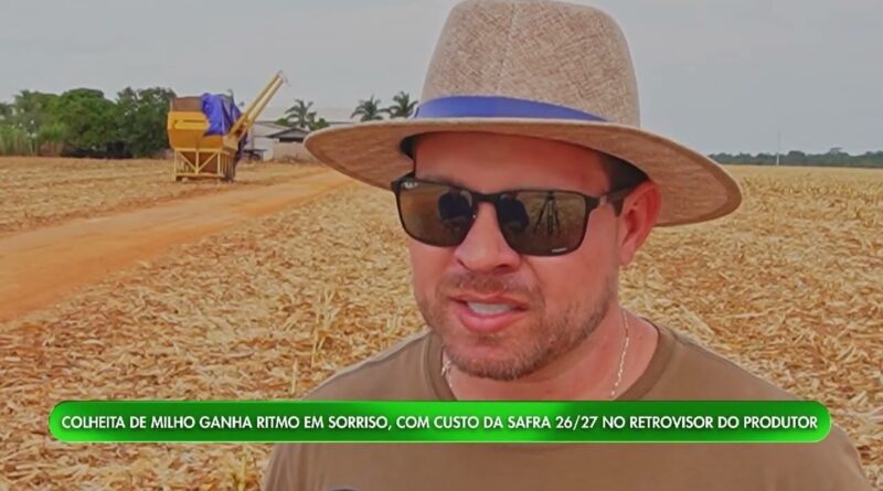 Colheita do milho avança em Sorriso, mas custos preocupam produtores