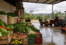 Conab anuncia ações emergenciais, compra de alimentos e entrega de máquinas em Roraima
