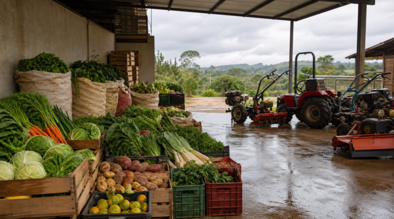 Conab anuncia ações emergenciais, compra de alimentos e entrega de máquinas em Roraima
