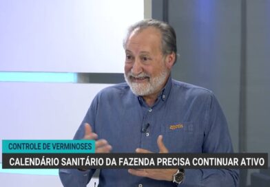 Controle de verminoses é essencial para a produtividade do rebanho