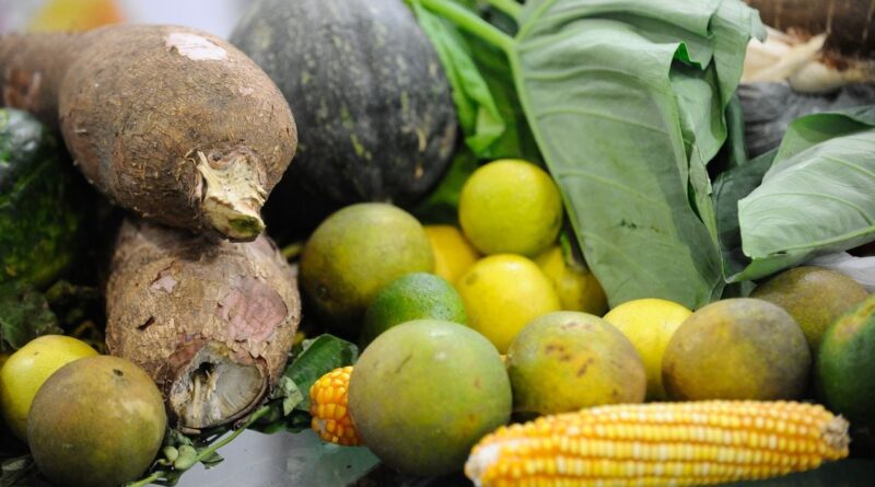 Alimentos orgânicos