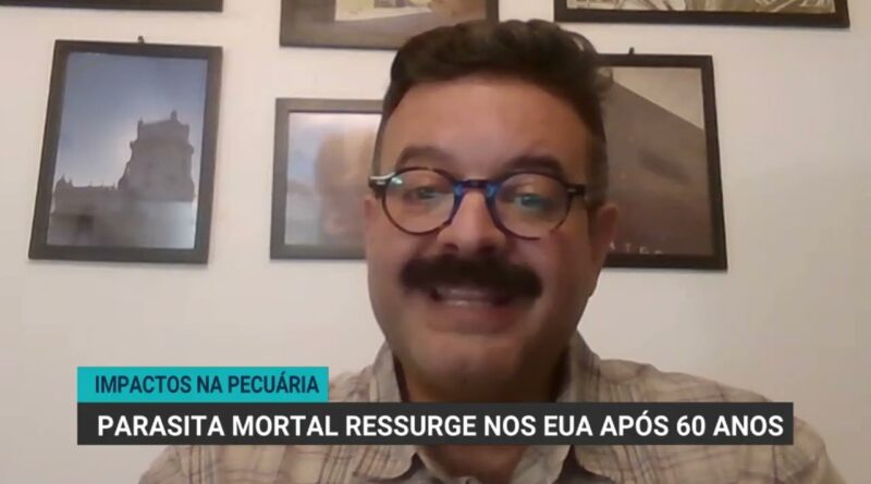 EUA confirmam ressurgimento da mosca-da-bicheira após 60 anos