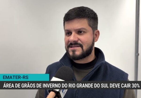 Emater projeta queda de 30% na área de grãos de inverno no RS