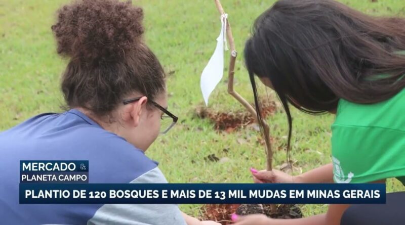 Estudantes de Minas Gerais plantam 120 bosques e 13 mil mudas de árvores
