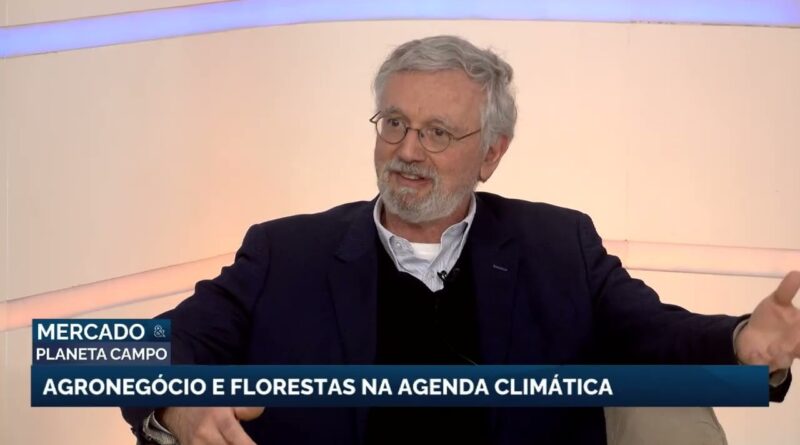 Estudo revela que agronegócio pode impulsionar florestas no Brasil