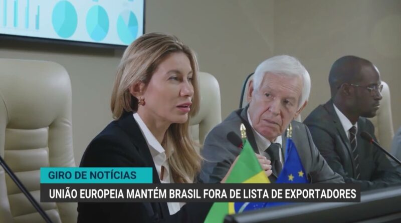 Exportações brasileiras de carne suína crescem 9% em maio de 2023