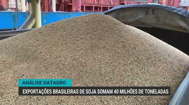 Exportações brasileiras de soja alcançam 40 milhões de toneladas em 2023