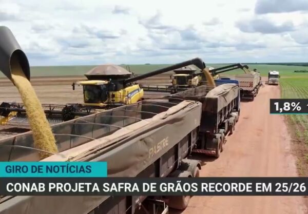 Exportações de carne bovina e safra de grãos quebram recordes no Brasil