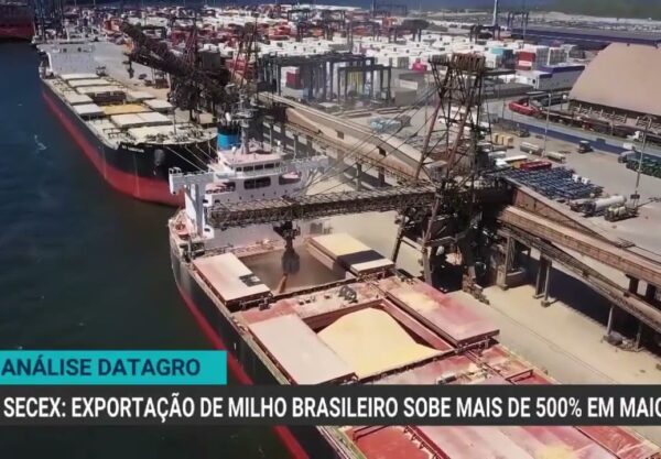 Exportações de milho brasileiro crescem 572% em maio de 2025