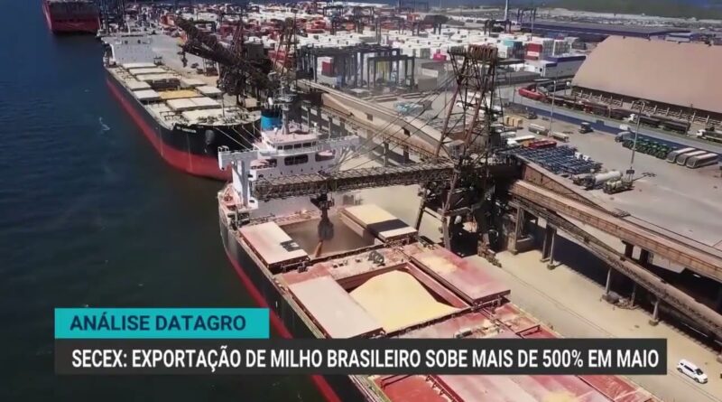 Exportações de milho brasileiro crescem 572% em maio de 2025