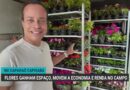 Flores impulsionam economia na Serra do Caparaó Capixaba
