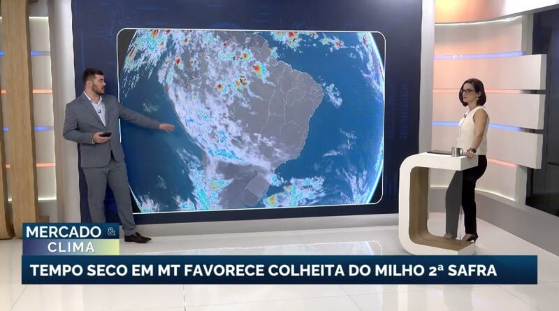 Frente fria avança pelo Brasil e impacta colheita do milho