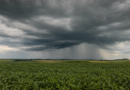 Frente fria deve levar chuva ao Rio Grande do Sul na próxima semana