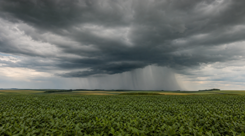 Frente fria deve levar chuva ao Rio Grande do Sul na próxima semana