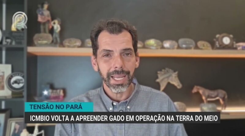 ICMBio apreende gado e gera tensão entre produtores no Pará