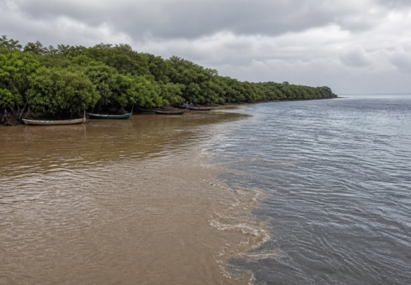Impactos da Barragem de Fundão no sul da Bahia serão debatidos na Câmara