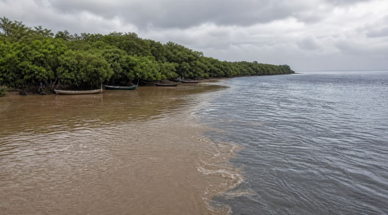 Impactos da Barragem de Fundão no sul da Bahia serão debatidos na Câmara