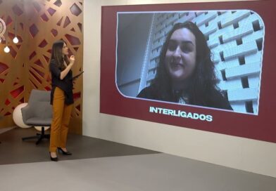 Importância das primeiras horas de vida das aves na avicultura