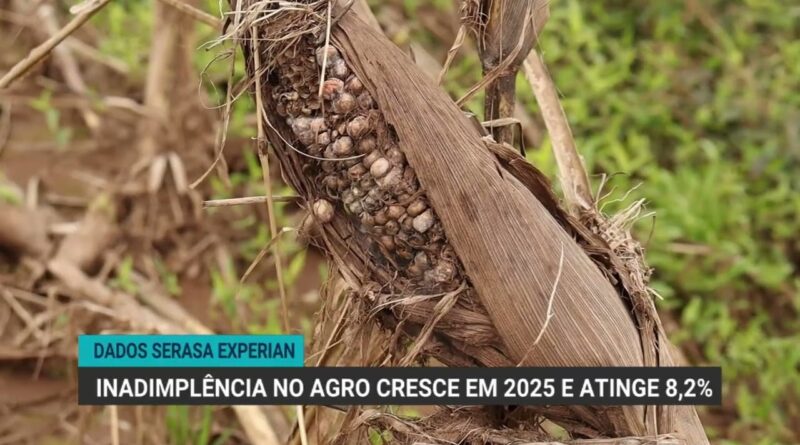 Inadimplência no agro atinge 8,2% entre produtores, revela Serasa Experian