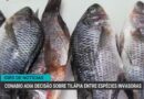 Inadimplência rural atinge 8,2% em 2025, maior patamar da série
