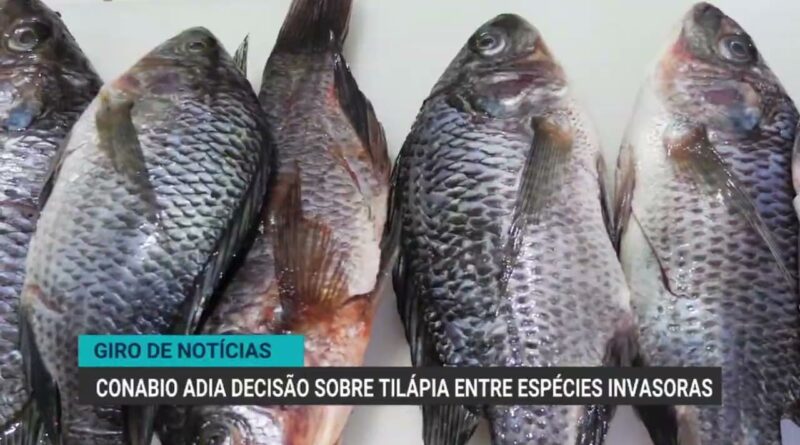Inadimplência rural atinge 8,2% em 2025, maior patamar da série
