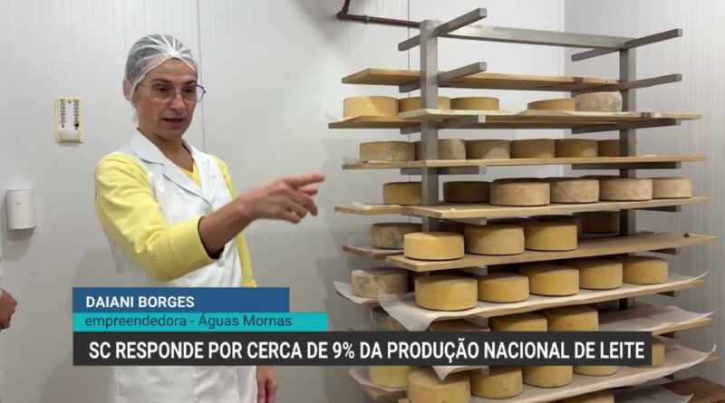Indústria de laticínios em Santa Catarina cresce 59% e impulsiona queijarias artesanais