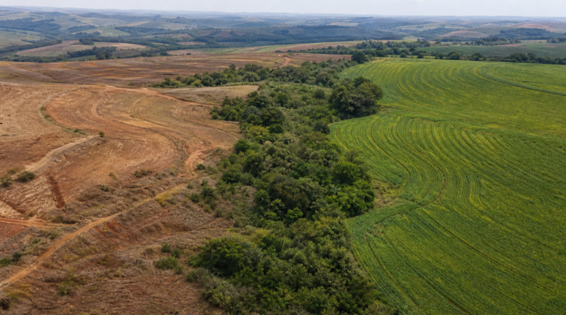 Lideranças defendem integração entre clima, biodiversidade e solo no Rio