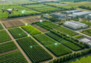 Mapa e Secretaria de Agricultura de São Paulo assinam protocolo para inovação agropecuária