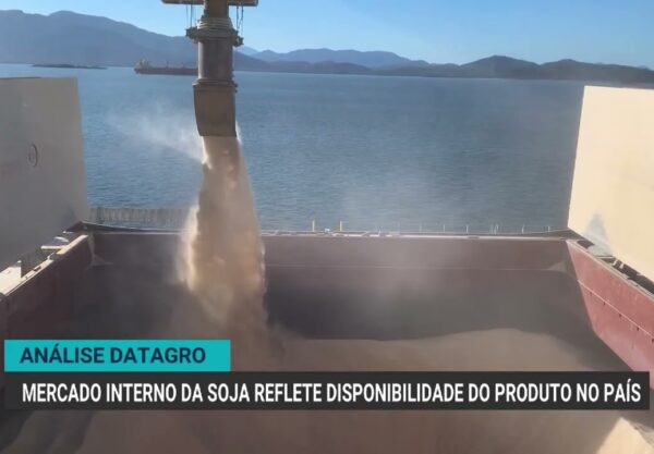 Mercado brasileiro de soja e milho apresenta comportamento misto