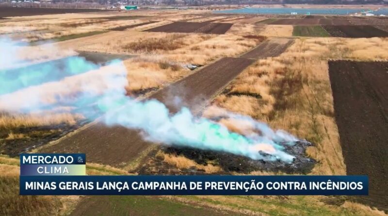 Minas Gerais lança campanha de prevenção contra incêndios no campo