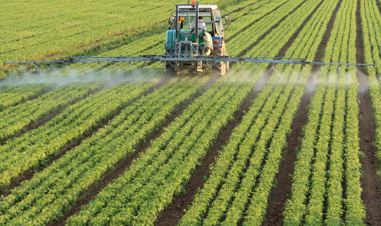 produtos, agrotóxicos, agroquímicos, defensivos, glifosato, agroquímicos, inseticida, defensivos - ministério da agricultura