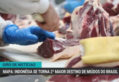 Óleo de soja enfrenta demanda fraca, mas ganha competitividade externa